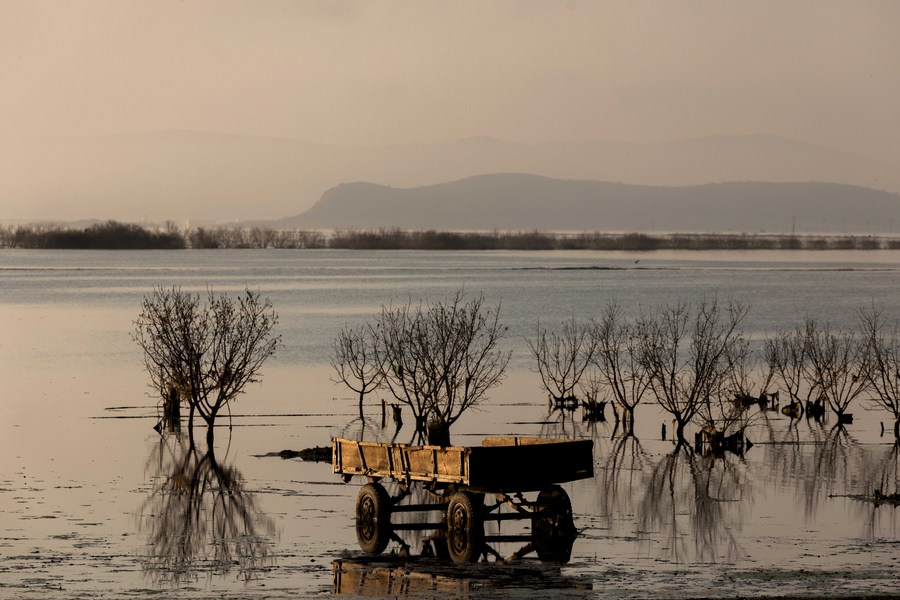 Φωτογραφία που δόθηκε στη δημοσιότητα το Σάββατο 30 Μαρτίου 2024 εικονίζει μία αγροτική καρότσα είναι βυθισμένη στο νερό, μετά τα ακραία πλημμυρικά φαινόμενα του περασμένου Σεπτεμβρίου, Καλαμάκι, Λάρισα, Σάββατο 23 Μαρτίου 2024. Επτά μήνες μετά την κακοκαιρία «Daniel» που προκάλεσε καταστροφικές πλημμύρες στη Θεσσαλία, η στάθμη της λίμνης Κάρλα δεν έχει επανέρθει σε φυσιολογικά επίπεδα, με το επίπεδο του νερού να μην υποχωρεί και να έχει ως αποτέλεσμα τα χωράφια της γύρω περιοχής να εξακολουθούν να είναι βυθισμένα κάτω από το νερό. Η λίμνη Κάρλα αποξηράνθηκε το 1962, επειδή την εποχή εκείνη προκαλούσε πλημμύρες στις παρακείμενες αγροτικές καλλιέργειες. Η έκταση της λίμνης Κάρλα, πριν τις πλημμύρες, τον Αύγουστο του 2023 ανερχόταν περίπου στα 35.700 στρέμματα ενώ σήμερα μετά τις πλημμύρες Ντάνιελ η εικόνα θυμίζει πλέον την αρχική έκταση της λίμνης, καθώς πάνω από 180.000 στρέμματα έχουν πλημμυρίσει.