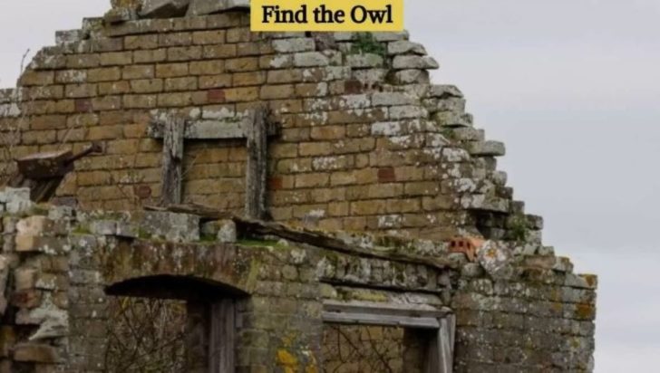 Οπτική ψευδαίσθηση