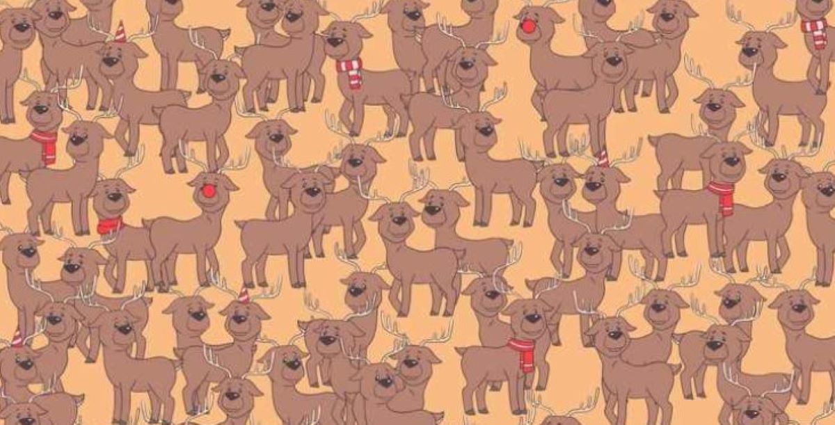 Οπτική ψευδαίσθηση