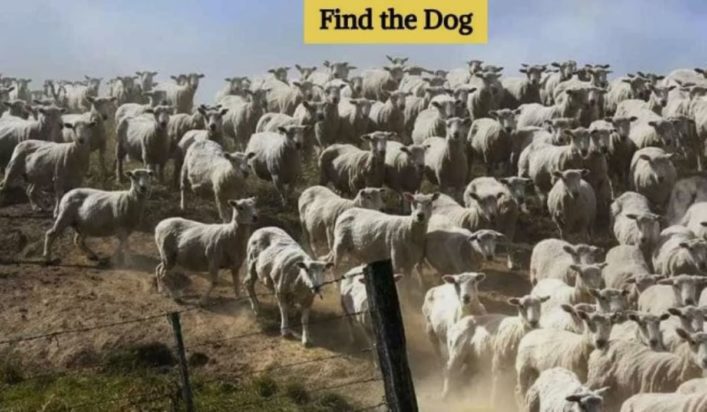 οπτική ψευδαίσθηση