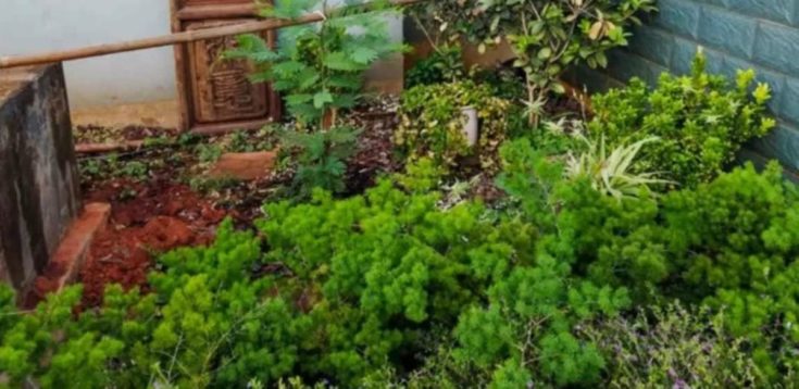 οπτική ψευδαίσθηση