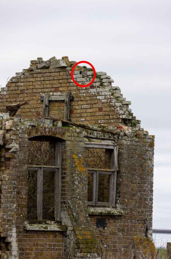 Οπτική ψευδαίσθηση