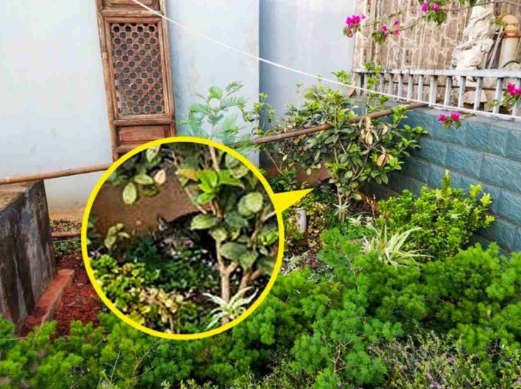 οπτική ψευδαίσθηση 