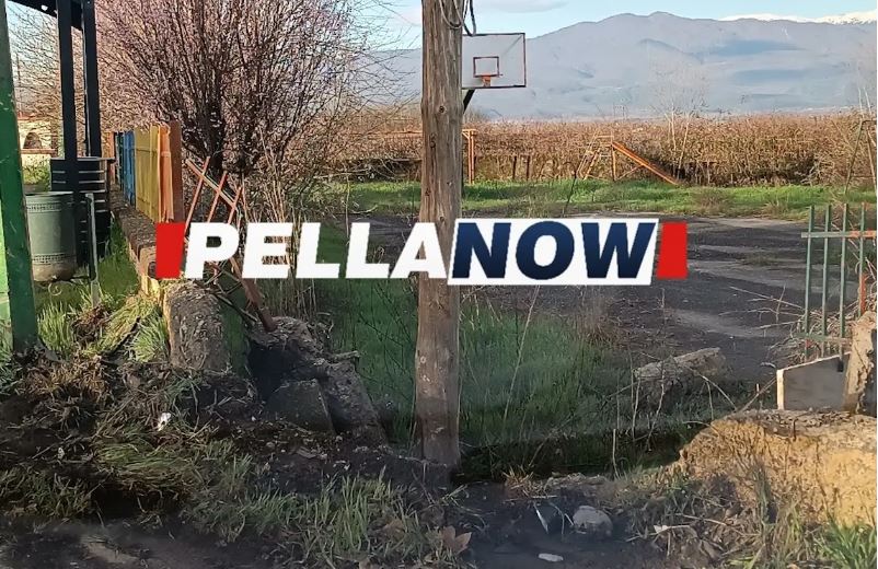 Πέλλα: Τροχαίο στην Αριδαία