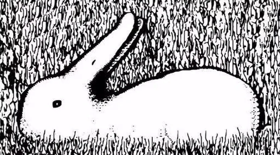 Τεστ προσωπικότητας οπτική ψευδαίσθηση κουνέλι πάπια