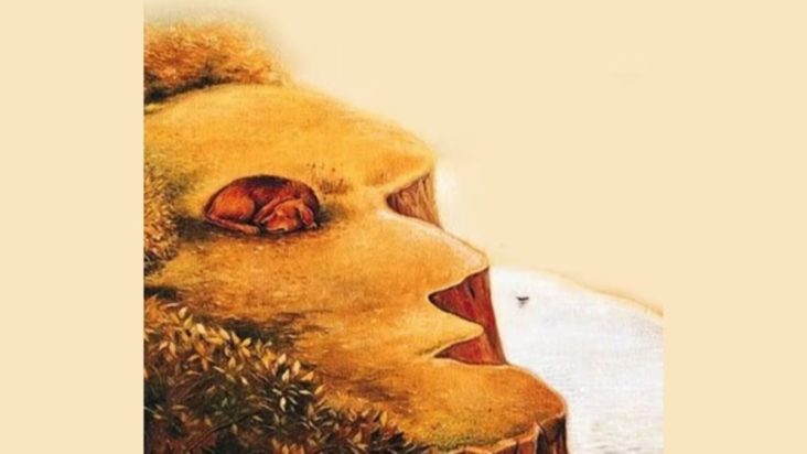 Τεστ προσωπικότητας Οπτική ψευδαίσθηση