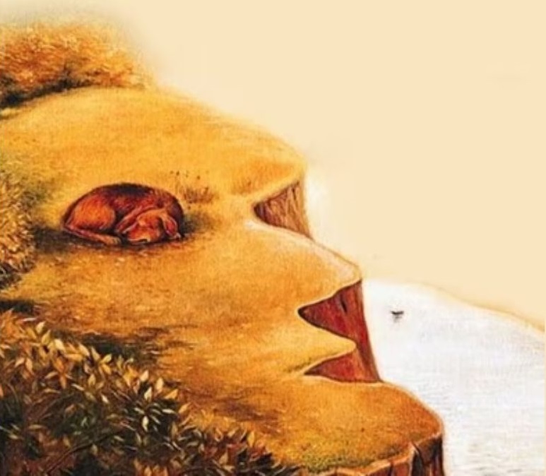 Τεστ προσωπικότητας Οπτική ψευδαίσθηση