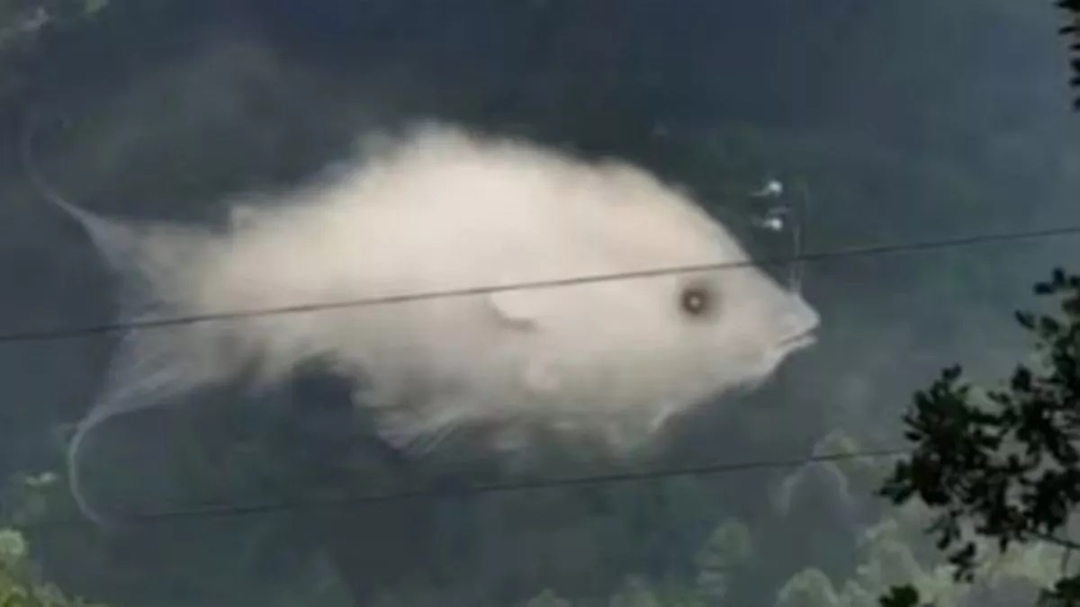 Τεστ προσωπικότητας οπτική ψευδαίσθηση ψάρι σύννεφο