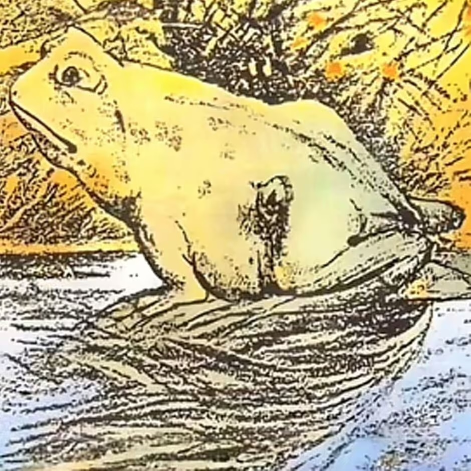 Τεστ προσωπικότητας Οπτική ψευδαίσθηση