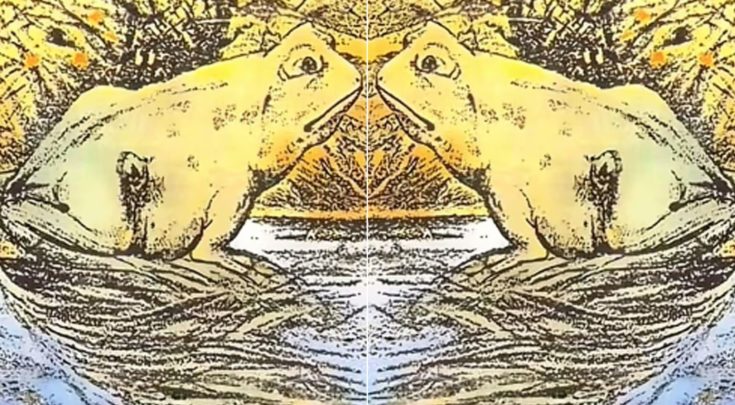 Τεστ προσωπικότητας Οπτική ψευδαίσθηση