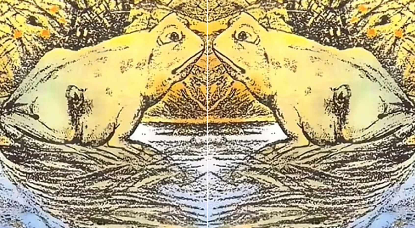 Τεστ προσωπικότητας Οπτική ψευδαίσθηση