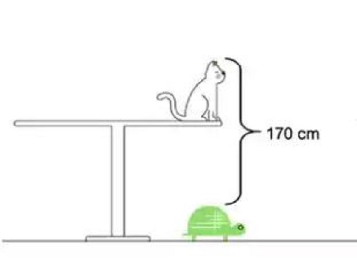 Τεστ IQ μόνο για ιδιοφυΐες: Mπορείτε να βρείτε την λύση σε 40 δευτερόλεπτα;