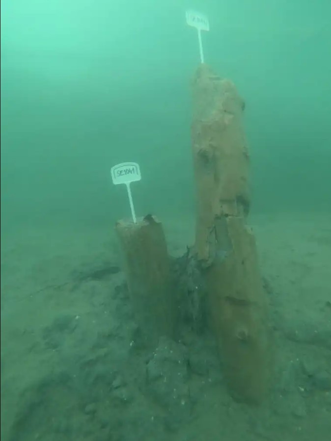 Ξύλινα τμήματα των καταρτιών μέσα στον βυθό. 