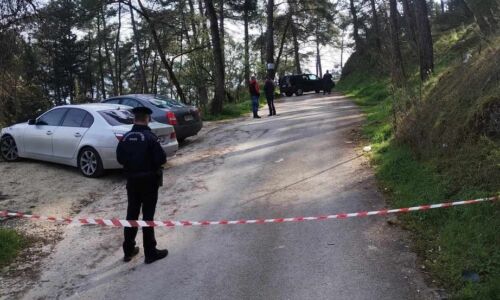 Ιωάννινα δολοφονία