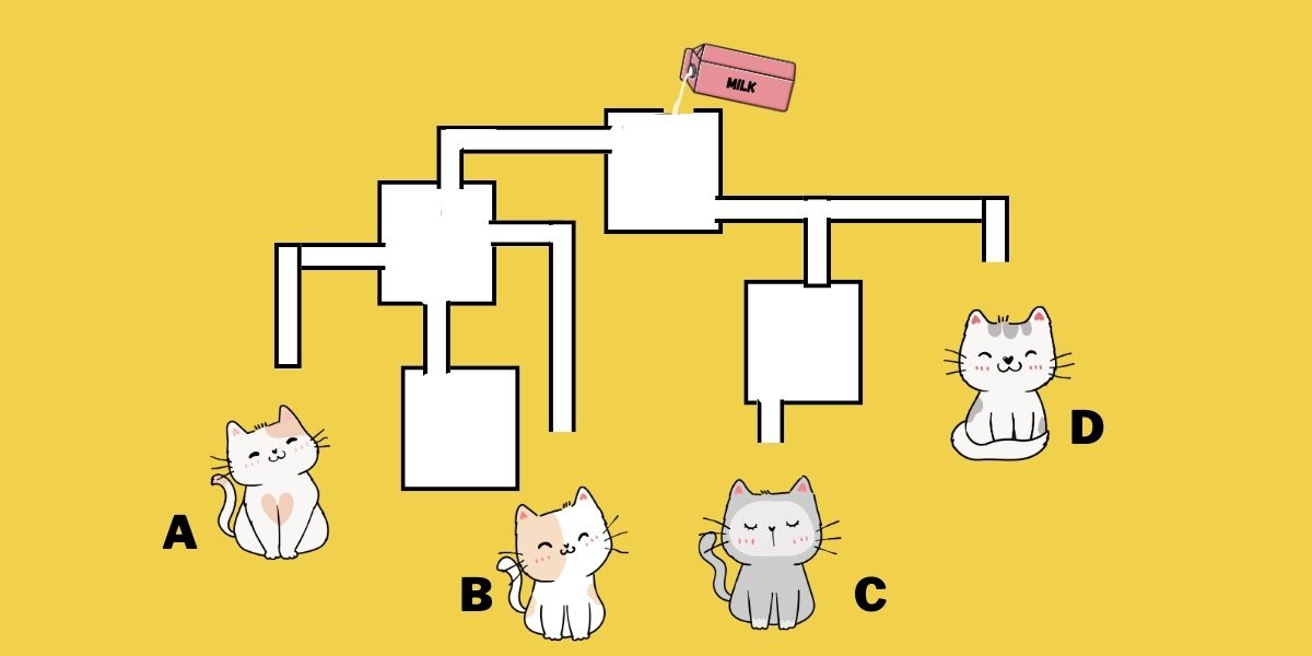 Τεστ IQ: Mπορείτε να βρείτε ποια γάτα θα πιει πρώτη γάλα σε 19 δευτερόλεπτα;