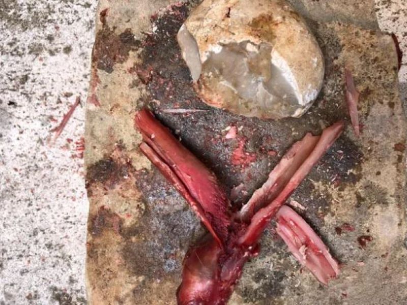 Θεωρητική αοεικόνιση της χρήσης των εργαλείων για τεμαχισμό του ζώου και των οστών του