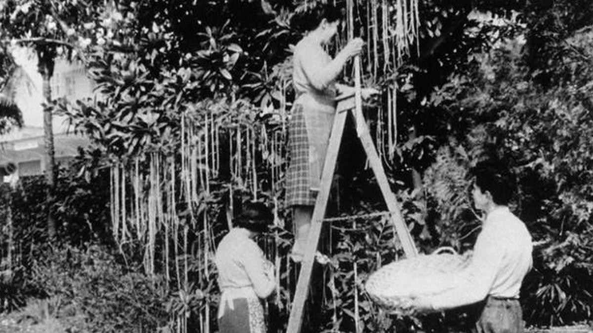 Πρωταπριλιά: Γιατί λέμε ψέματα και κάνουμε φάρσες – Πώς και πότε καθιερώθηκε