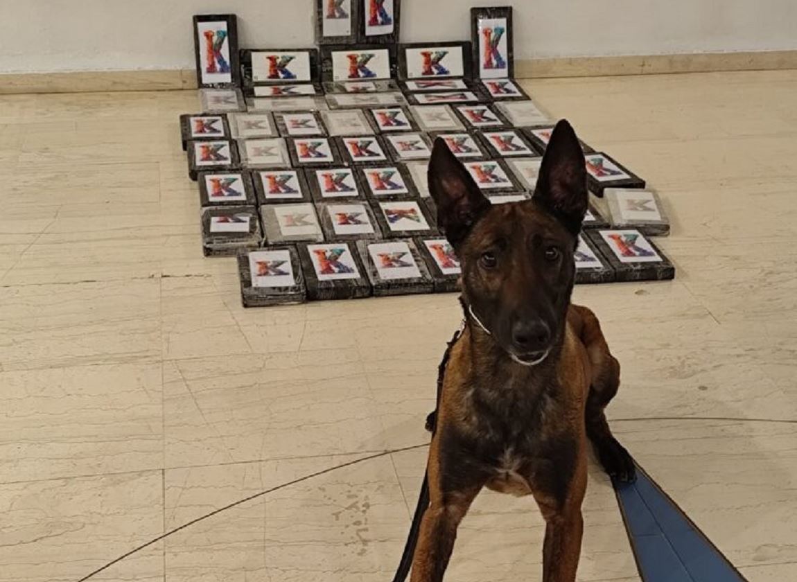 Ηγουμενίτσα: Κοκαΐνη αξίας άνω των 2 εκατ. ευρώ εντοπίστηκε σε φορτηγό ψυγείο- Συνελήφθη 54χρονος