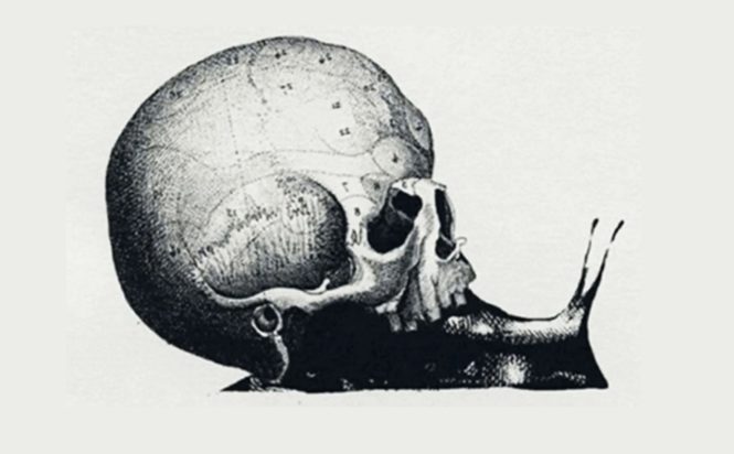 Τεστ προσωπικότητας, οπτική ψευδαίσθηση