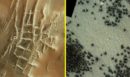 Μαύρες «αράχνες» στον πλανήτη Άρη: Τι εντοπίστηκε σε δορυφορικές φωτογραφίες