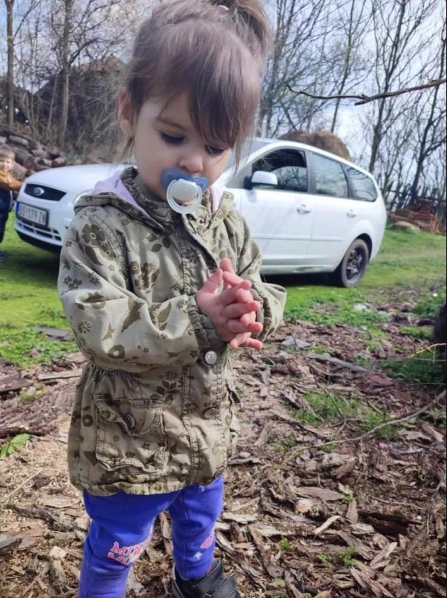 Ντάνκα Ίλιτς