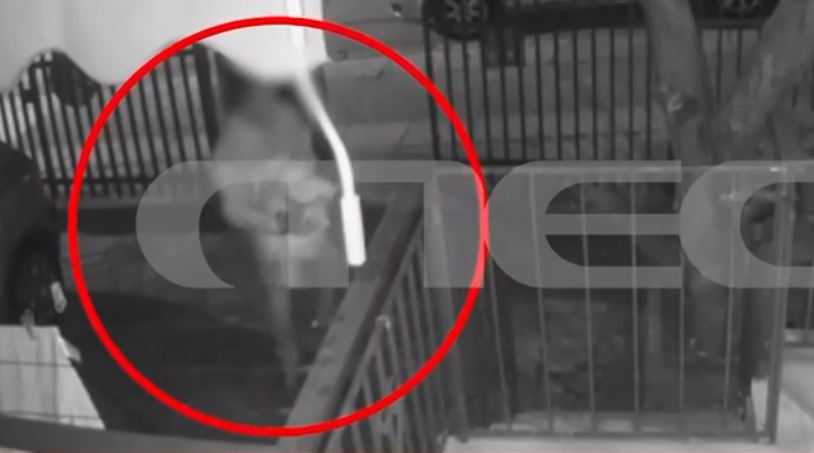 Αργυρούπολη: Διαρρήκτης «συνελήφθη» από κάμερα να αρπάζει… απλωμένα ρούχα – ΒΙΝΤΕΟ