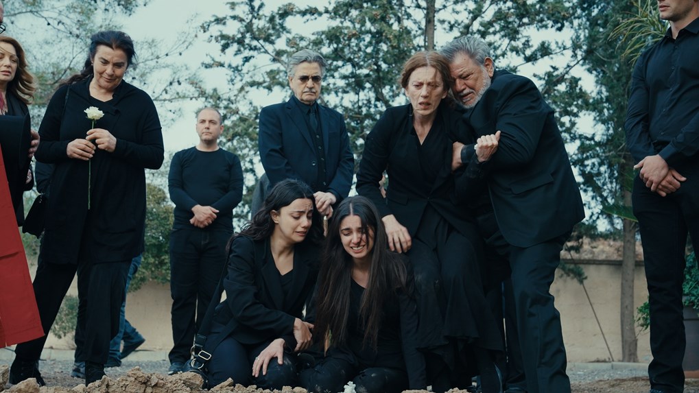 Η Γη της Ελιάς