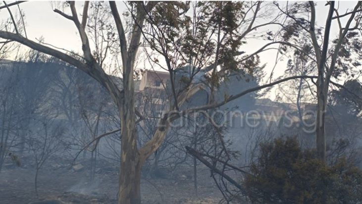 φωτιά Χανιά