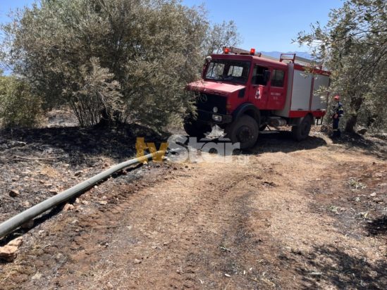 Φωτιά Στυλίδα Φθιώτιδας