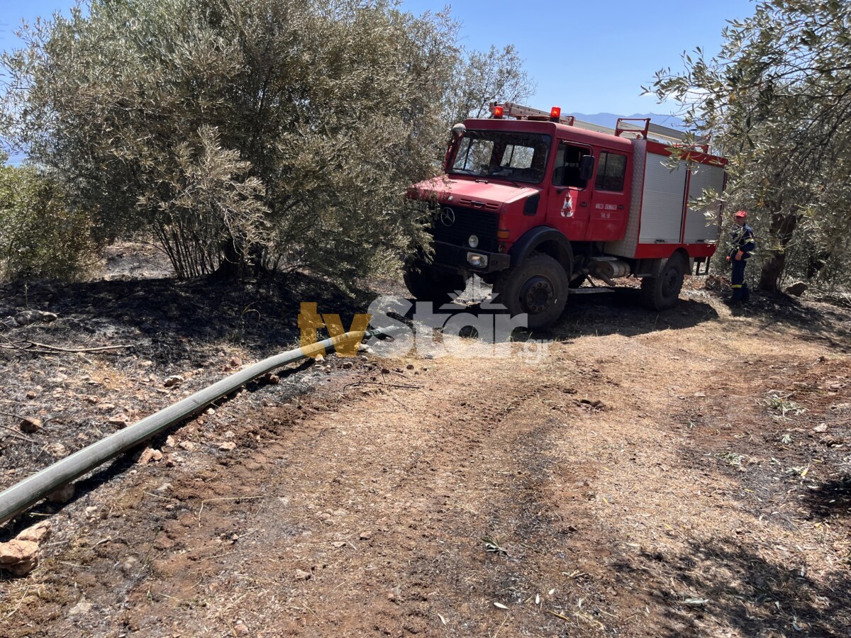 Φωτιά Στυλίδα Φθιώτιδας