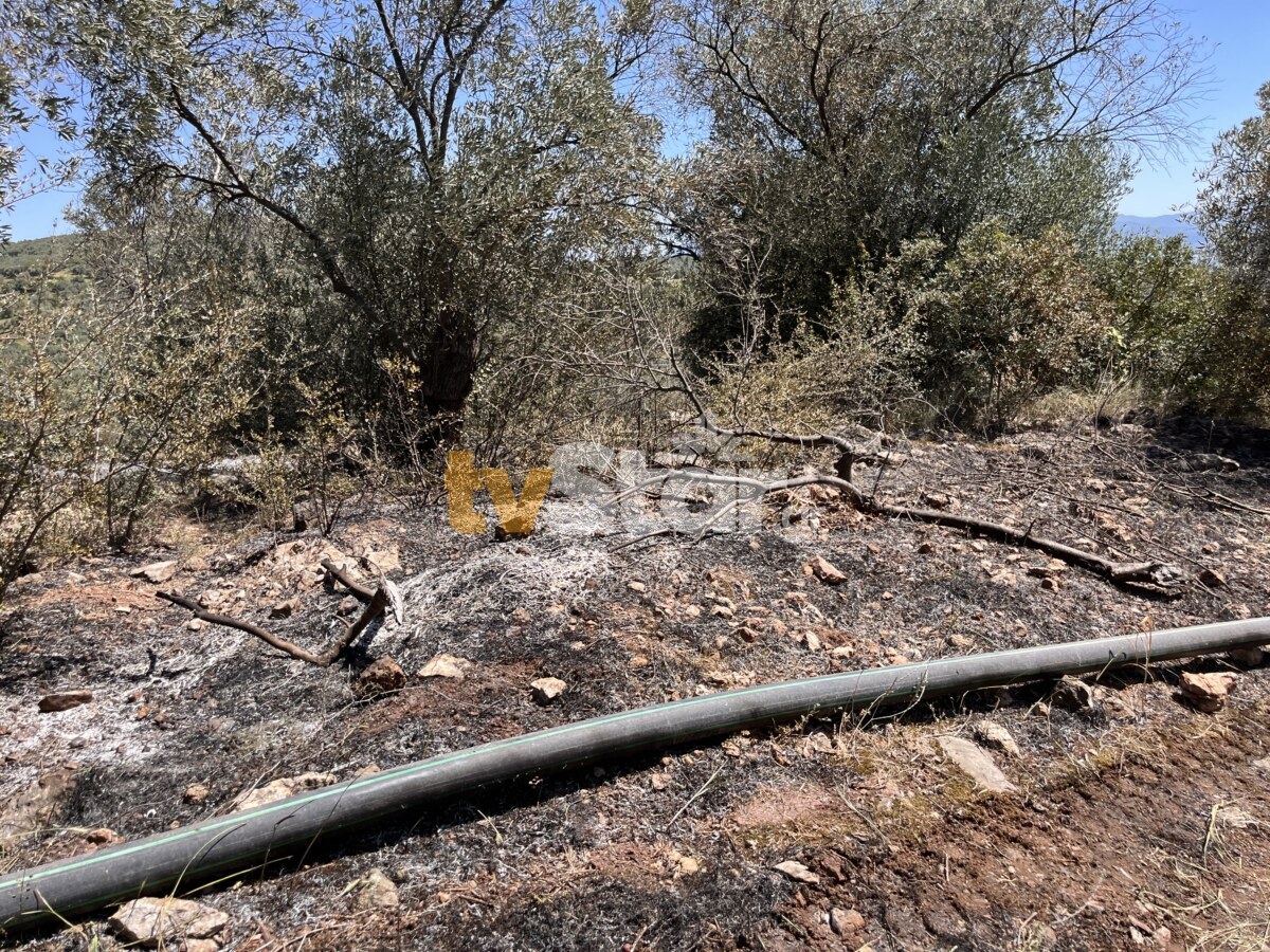 Φωτιά Στυλίδα Φθιώτιδας