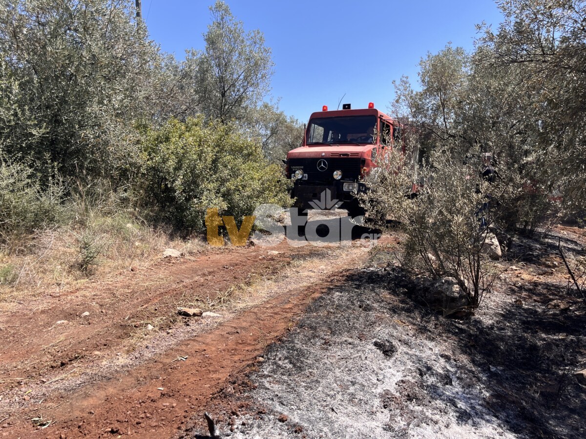 Φωτιά Στυλίδα Φθιώτιδας
