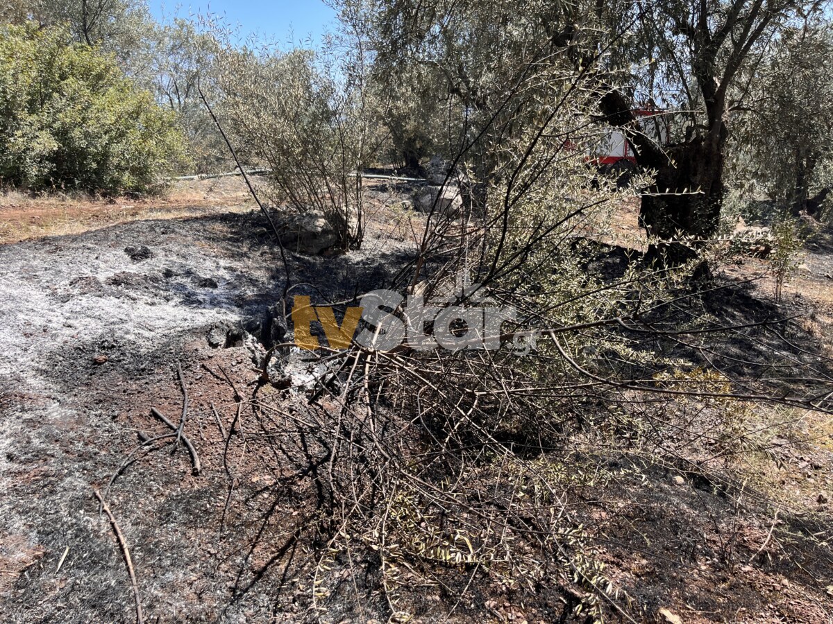 Φωτιά Στυλίδα Φθιώτιδας