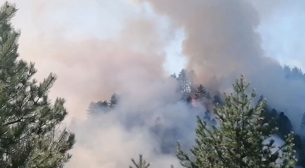Καστοριά: Φωτιά σε δασική έκταση στο Μονόπυλο – ΒΙΝΤΕΟ