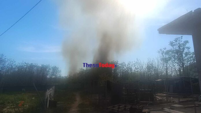 Συναγερμός για μεγάλη φωτιά στη Θεσσαλονίκη – Καίει κοντά σε βαγόνι του ΟΣΕ – ΒΙΝΤΕΟ