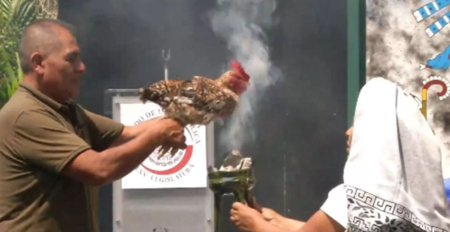 Θύελλα αντιδράσεων στο Μεξικό: Κότα θυσιάστηκε σε προκολομβιανό θεό σε ειδική τελετή της Γερουσίας