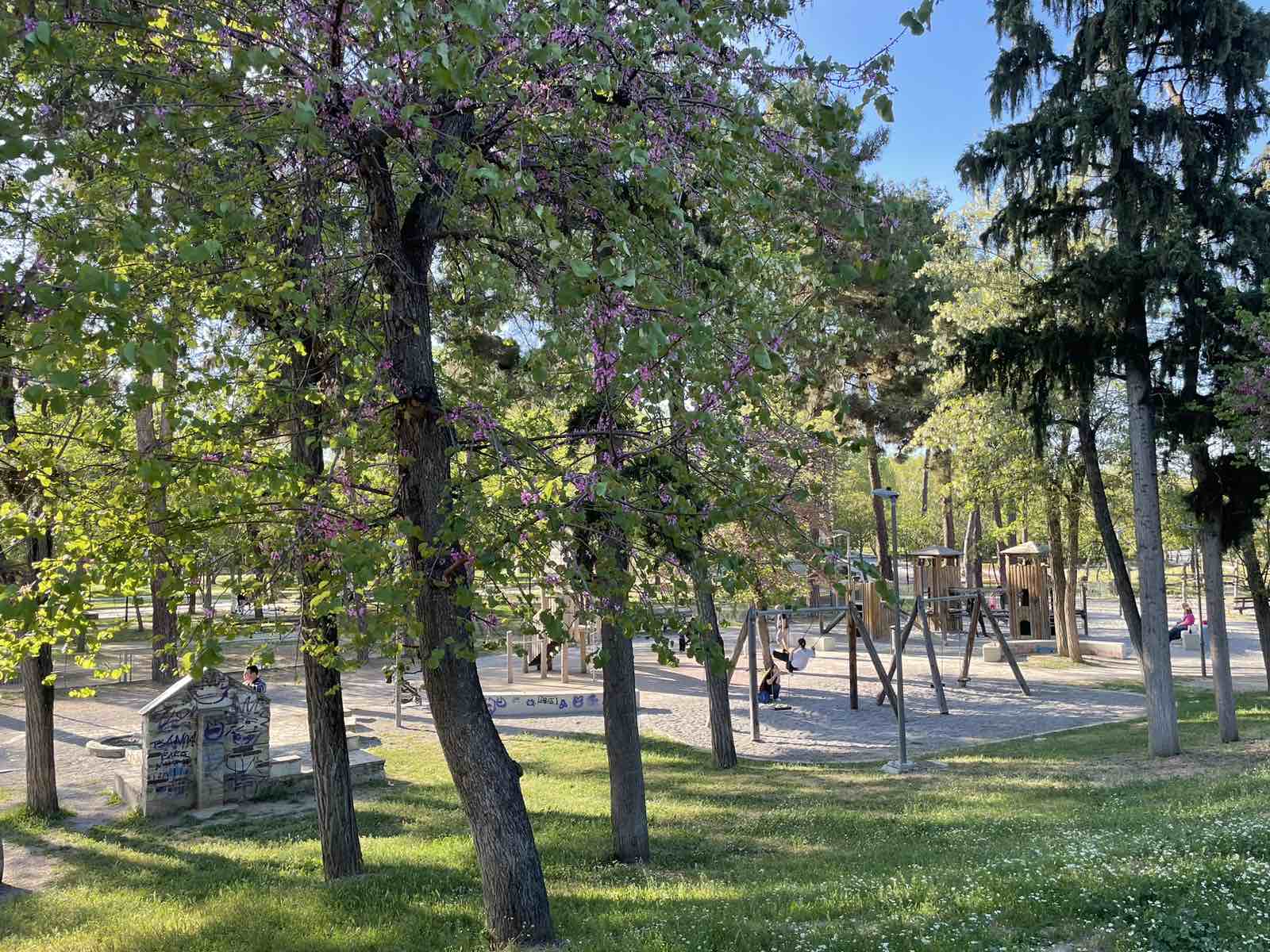 Αναστάτωση με παρέα νεαρών στη Λάρισα – Φώναζαν και πετούσαν πέτρες σε παιδική χαρά με δίχρονα παιδιά