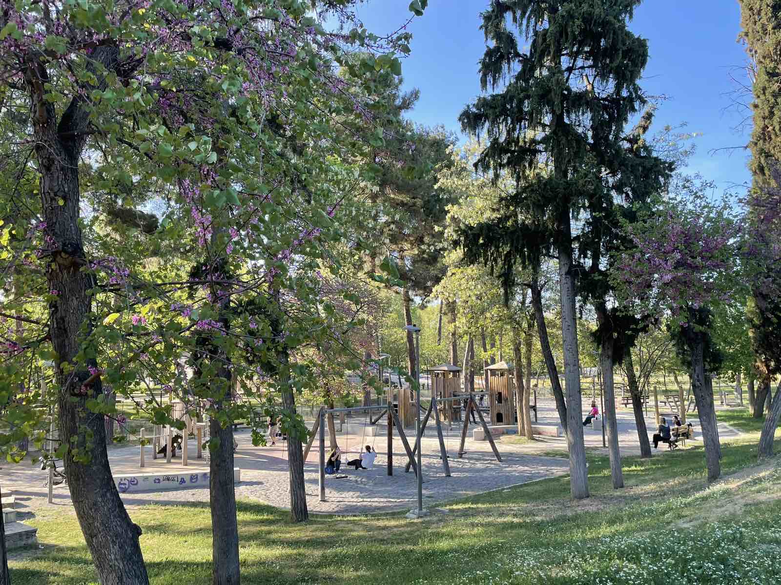 Αναστάτωση με παρέα νεαρών στη Λάρισα – Φώναζαν και πετούσαν πέτρες σε παιδική χαρά με δίχρονα παιδιά