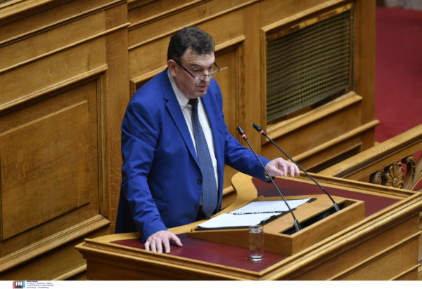 Νίκος Παπαδόπουλος, βουλευτής Νίκης