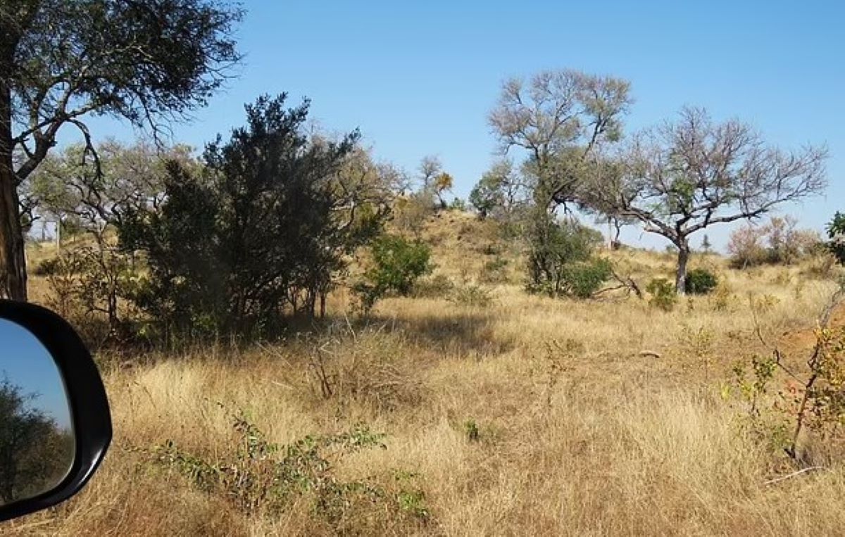 Οπτική ψευδαίσθηση