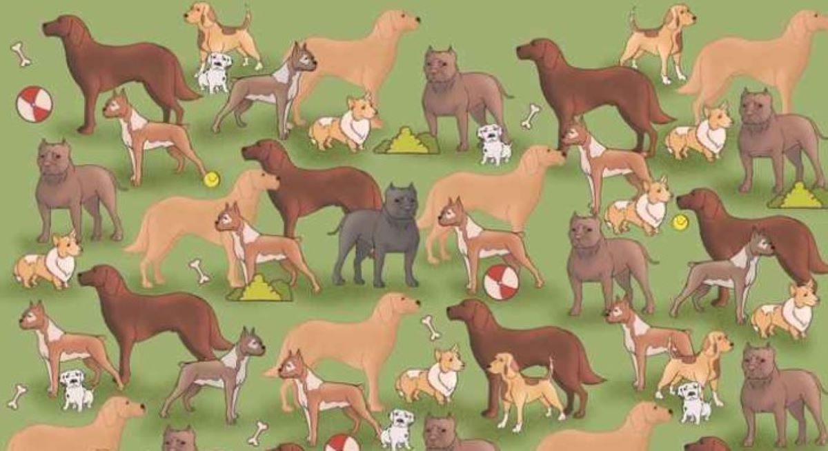 Οπτική ψευδαίσθηση