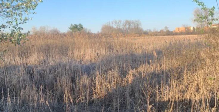 Οπτική ψευδαίσθηση