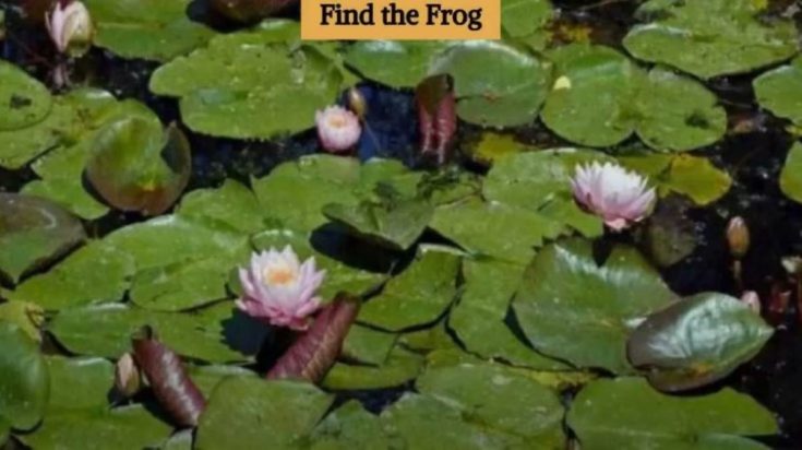 Οπτική ψευδαίσθηση