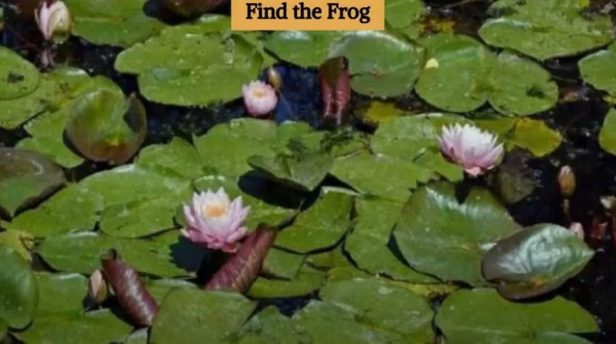 Οπτική ψευδαίσθηση