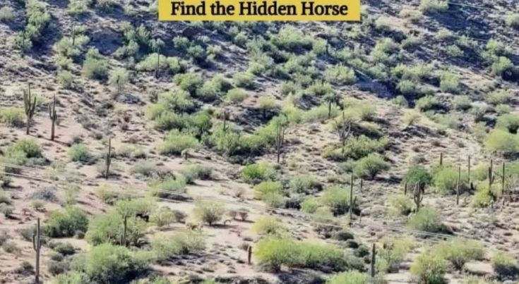 Οπτική ψευδαίσθηση