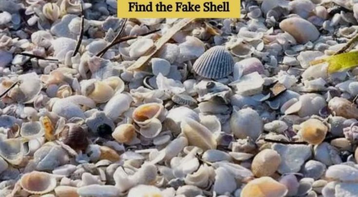 οπτική ψευδαίσθηση