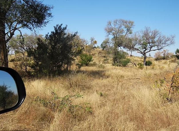 Οπτική ψευδαίσθηση