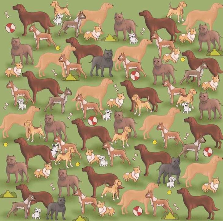 Οπτική ψευδαίσθηση