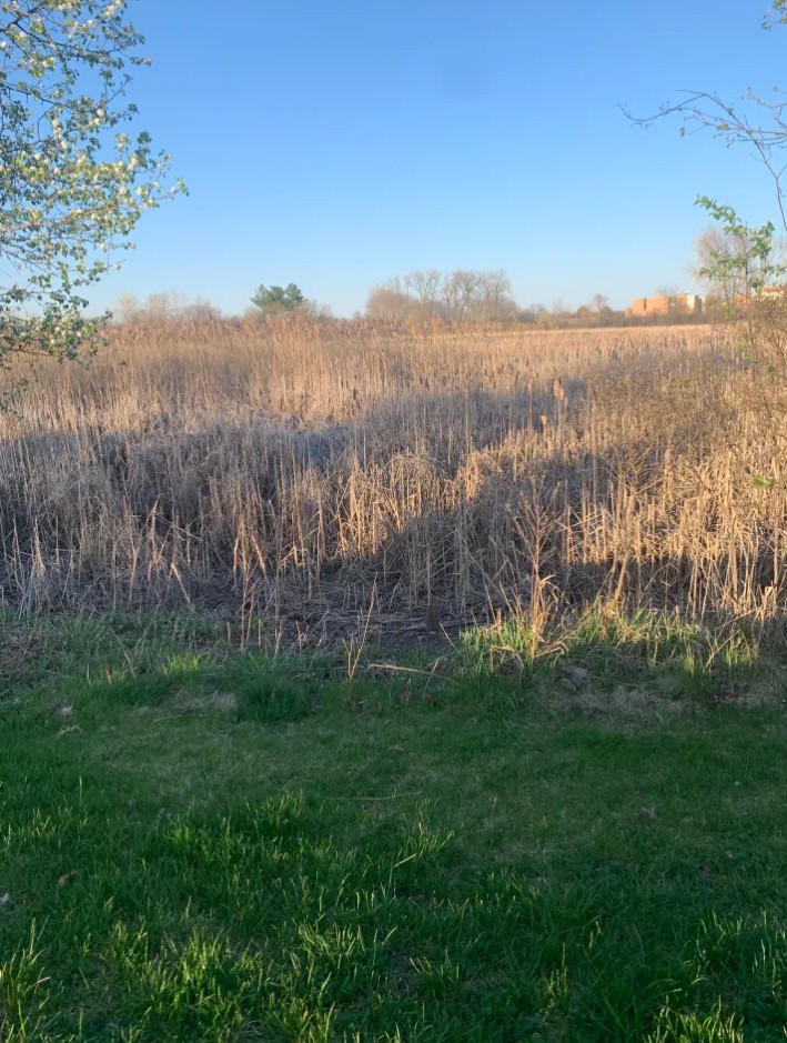 Οπτική ψευδαίσθηση