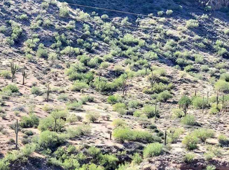 Οπτική ψευδαίσθηση